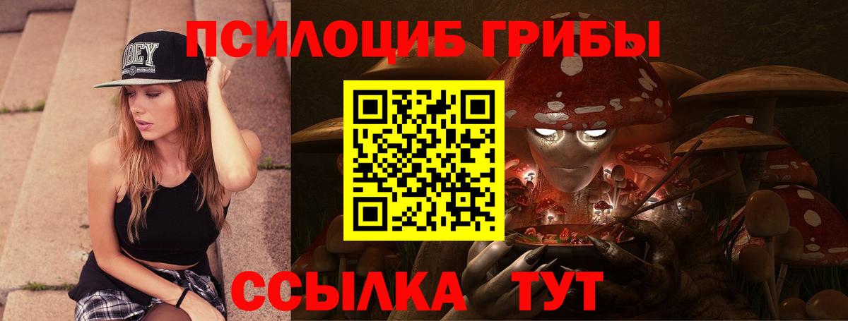 наркота  Галлюциногенные грибы MAGIC MUSHROOMS  Вход с VPN  Владикавказ 